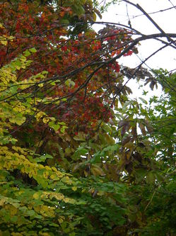 PA121233.JPG